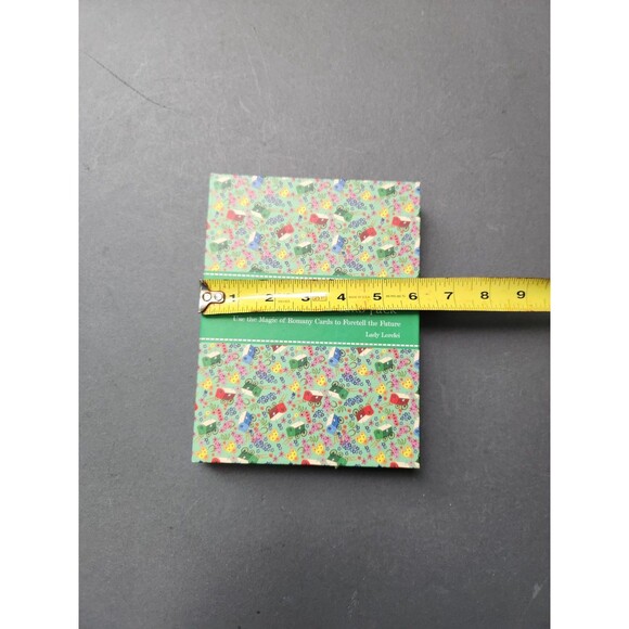 Gypsy Fortunes Book Card Pack Book Set Meditation Affirmation Cards Mindfulness - Picture 13 of 16